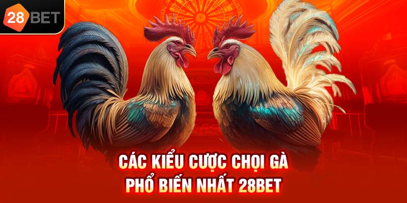 Các kiểu cược chọi gà phổ biến nhất 28bet