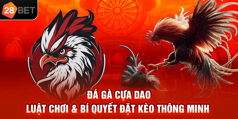 Đá gà cựa dao luật chơi bí quyết đặt kèo thông minh