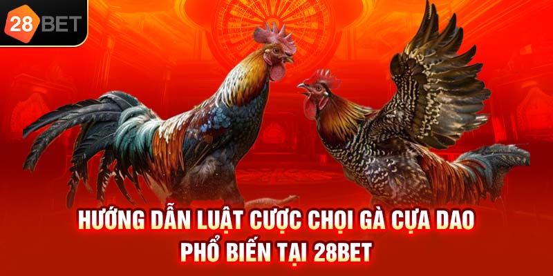 Hướng dẫn luật cược chọi gà cựa dao phổ biến tại 28bet