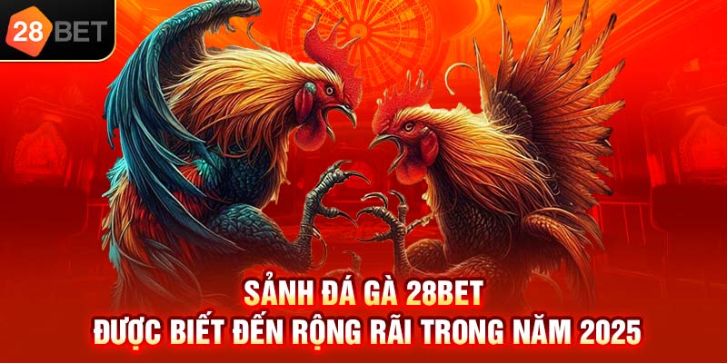 Sảnh đá gà 28bet được biết đến rộng rãi trong năm 2025