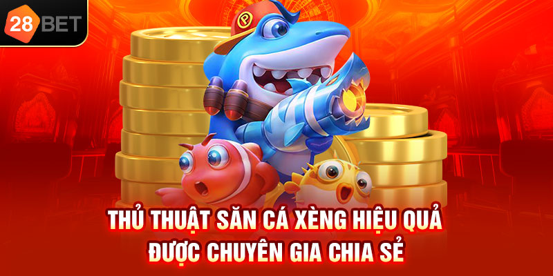 Thủ thuật săn cá xèng hiệu quả được chuyên gia chia sẻ