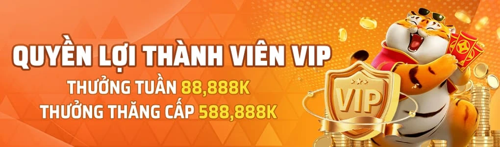 VIP hội viên