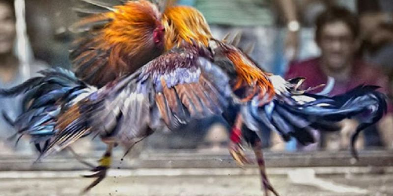 Hãy tham gia ngay để cảm nhận sự khác biệt!