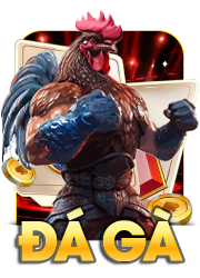đá gà 1