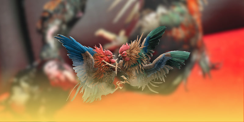 Đá Gà Trực Tiếp C4